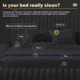 Handheld Dust Mite Vacuum